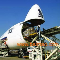 浙江省绍兴市进出口代理与外贸代理服务全解析