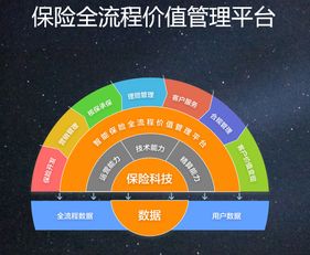 专访大特保CTO林洪祥 保险科技赋能B端才是“主赛道”