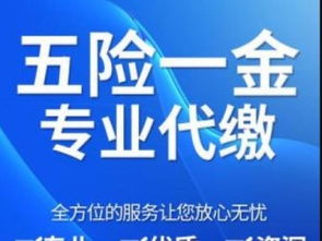 社保代缴补缴、公积金咨询、个税代办与档案办理全方位指南